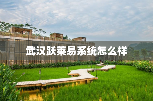 武汉跃莱易系统怎么样