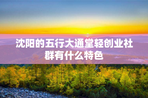 沈阳的五行大通堂轻创业社群有什么特色