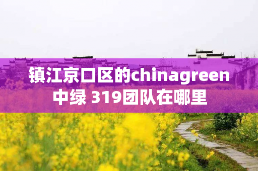 镇江京口区的chinagreen中绿 319团队在哪里