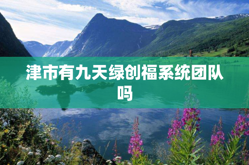 津市有九天绿创福系统团队吗