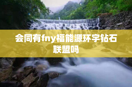 会同有fny福能源环宇钻石联盟吗