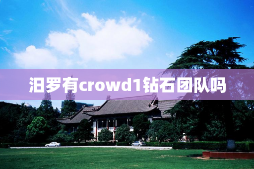 汨罗有crowd1钻石团队吗