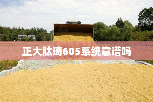 正大肽琦605系统靠谱吗