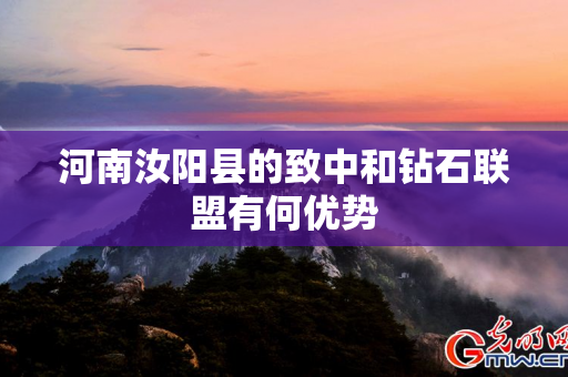 河南汝阳县的致中和钻石联盟有何优势