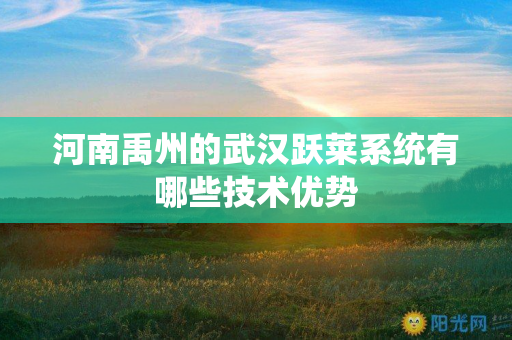 河南禹州的武汉跃莱系统有哪些技术优势