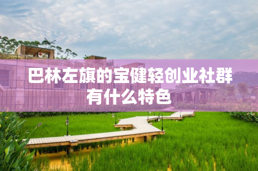 巴林左旗的宝健轻创业社群有什么特色