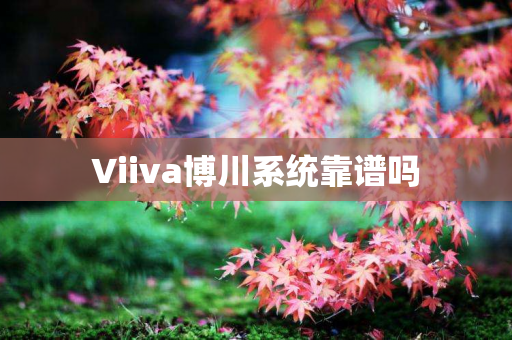 Viiva博川系统靠谱吗