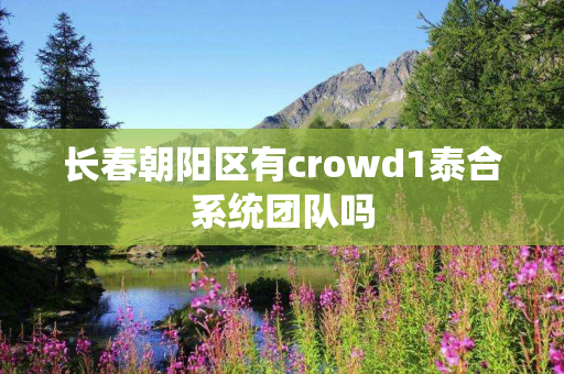 长春朝阳区有crowd1泰合系统团队吗