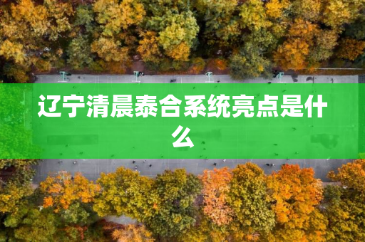 辽宁清晨泰合系统亮点是什么