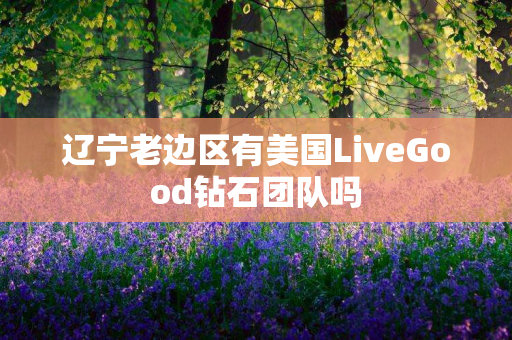 辽宁老边区有美国LiveGood钻石团队吗