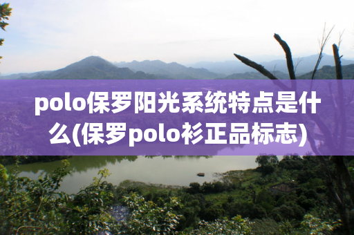 polo保罗阳光系统特点是什么(保罗polo衫正品标志)