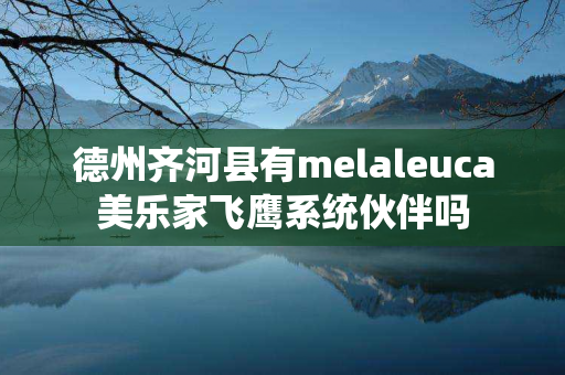 德州齐河县有melaleuca美乐家飞鹰系统伙伴吗