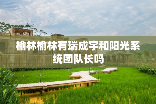 榆林榆林有瑞成宇和阳光系统团队长吗