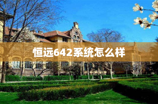 恒远642系统怎么样