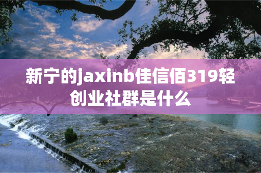 新宁的jaxinb佳信佰319轻创业社群是什么