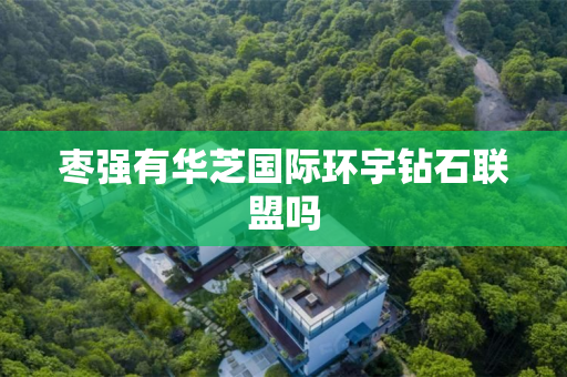 枣强有华芝国际环宇钻石联盟吗