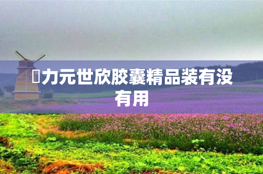 昇力元世欣胶囊精品装有没有用