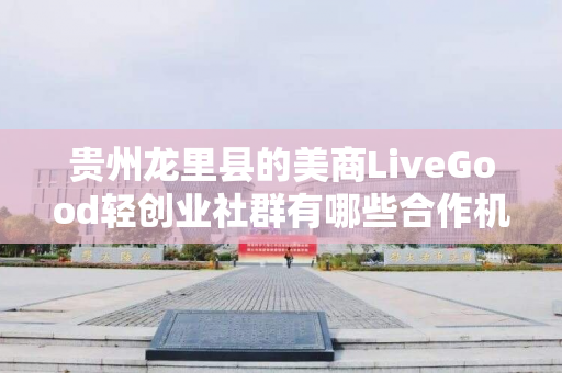 贵州龙里县的美商LiveGood轻创业社群有哪些合作机会