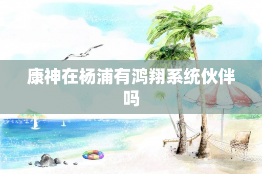 康神在杨浦有鸿翔系统伙伴吗