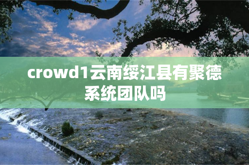 crowd1云南绥江县有聚德系统团队吗