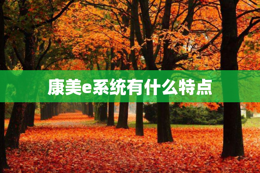 康美e系统有什么特点