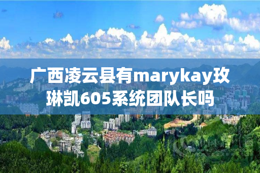 广西凌云县有marykay玫琳凯605系统团队长吗