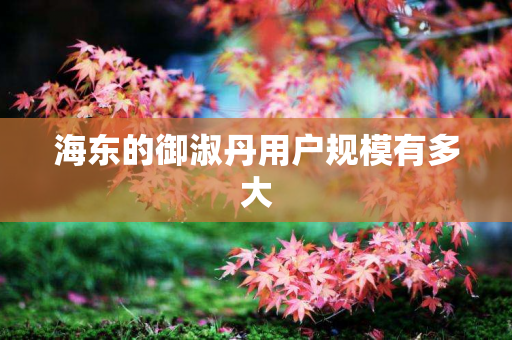 海东的御淑丹用户规模有多大