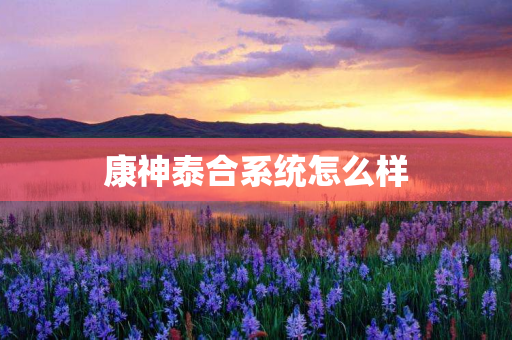 康神泰合系统怎么样