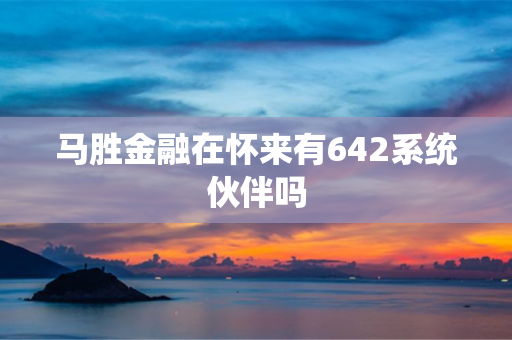 马胜金融在怀来有642系统伙伴吗