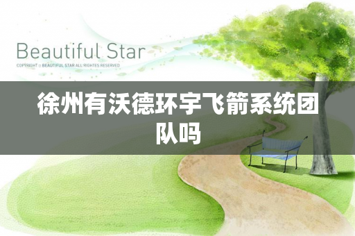 徐州有沃德环宇飞箭系统团队吗