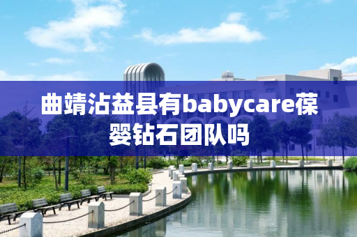 曲靖沾益县有babycare葆婴钻石团队吗