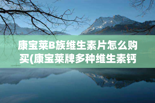 康宝莱B族维生素片怎么购买(康宝莱牌多种维生素钙镁铁锌硒片的功效)