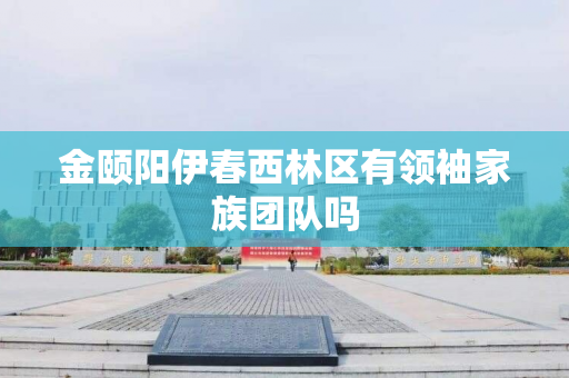 金颐阳伊春西林区有领袖家族团队吗