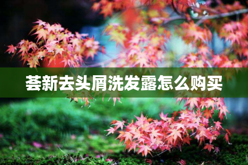 荟新去头屑洗发露怎么购买
