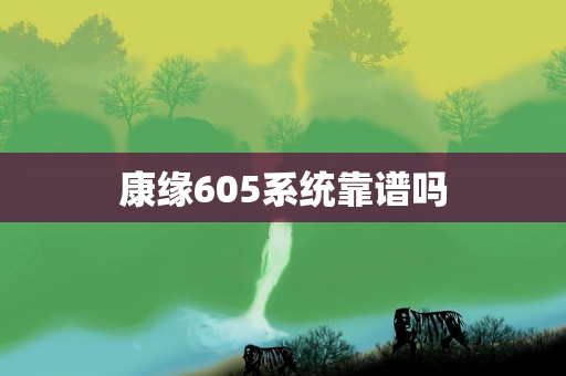 康缘605系统靠谱吗