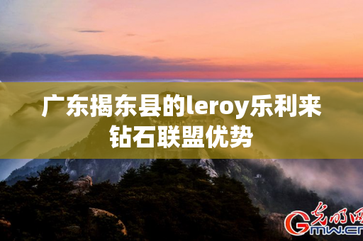 广东揭东县的leroy乐利来钻石联盟优势