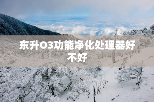 东升O3功能净化处理器好不好
