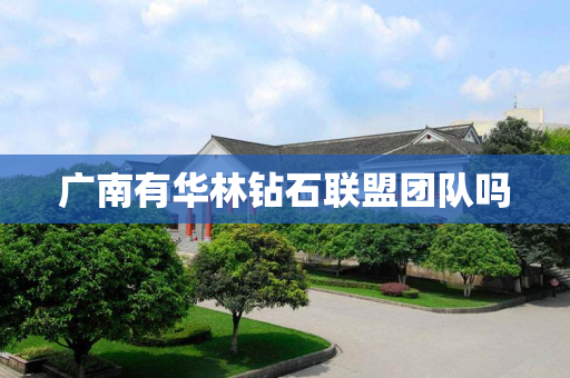 广南有华林钻石联盟团队吗
