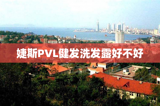 婕斯PVL健发洗发露好不好