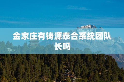金家庄有铸源泰合系统团队长吗