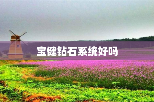 宝健钻石系统好吗