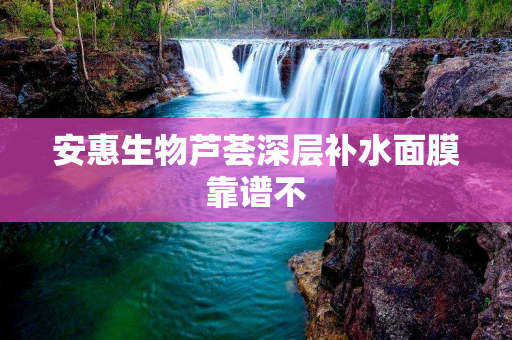 安惠生物芦荟深层补水面膜靠谱不