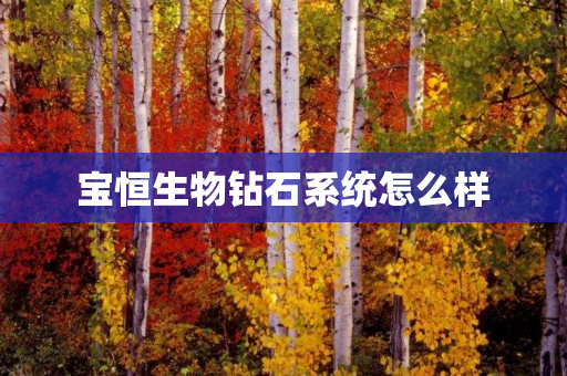 宝恒生物钻石系统怎么样