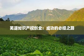 芜湖知识产权创业：成功的必经之路