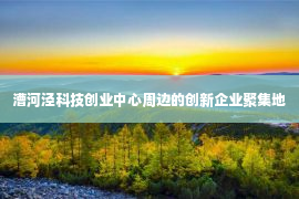 漕河泾科技创业中心周边的创新企业聚集地