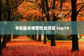 手机版本推荐创业项目 top10