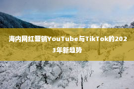  海内网红营销YouTube与TikTok的2023年新趋势