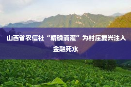 山西省农信社“精确滴灌”为村庄复兴注入金融死水